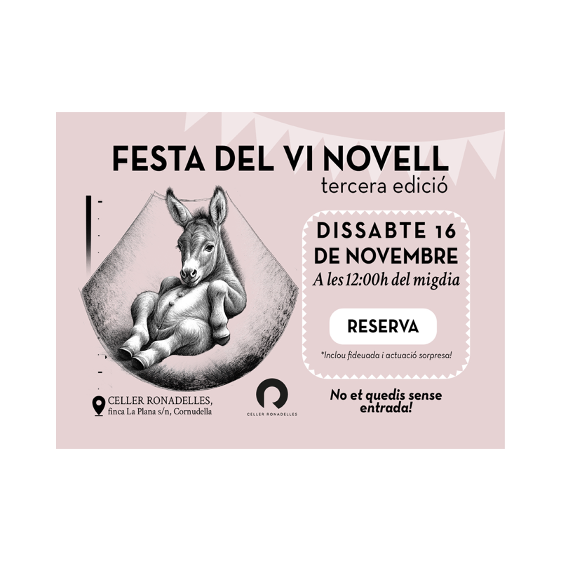 FESTA DEL VI NOVELL