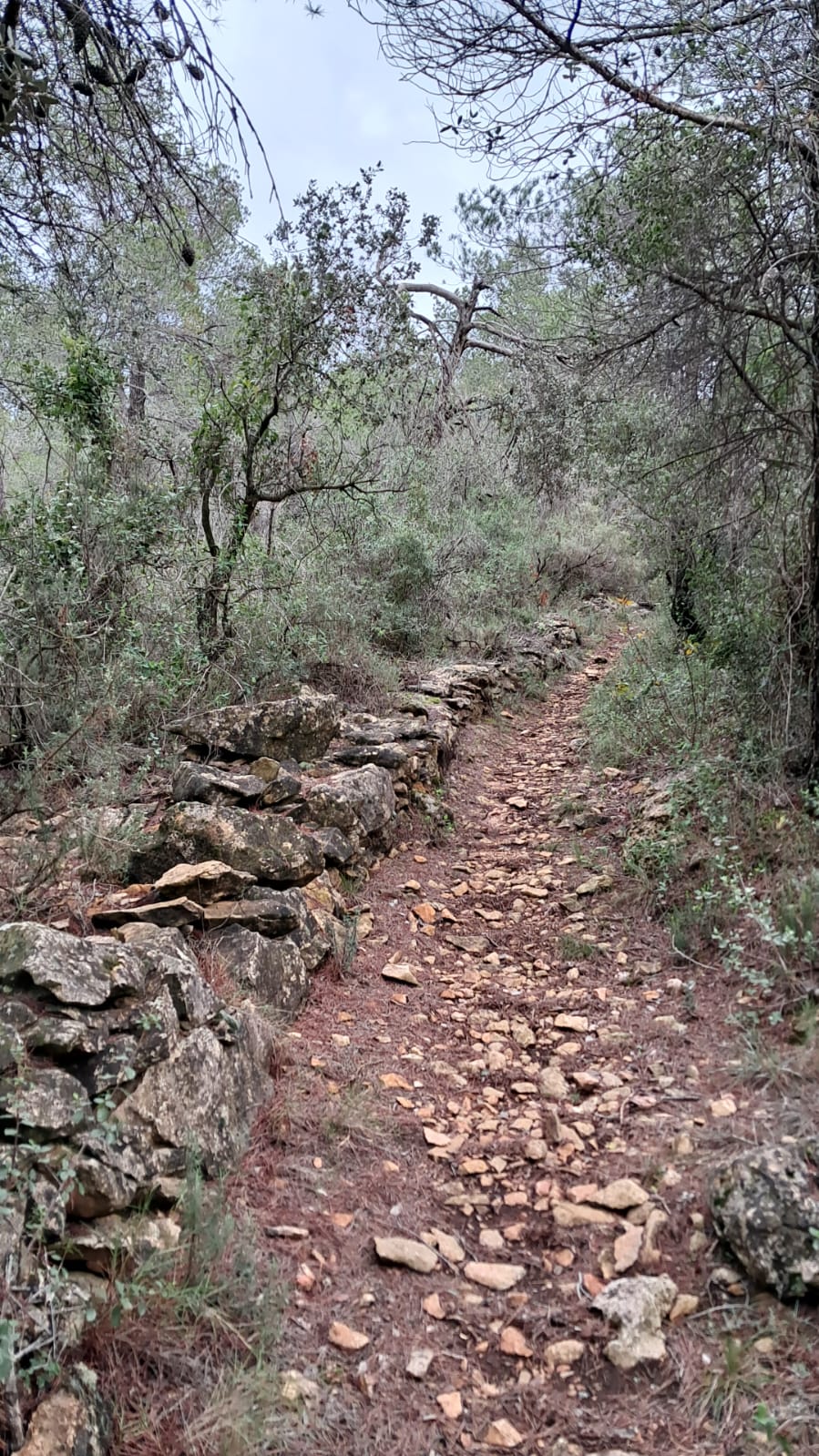 Ruta de la pedra seca Les Taules de Marçà