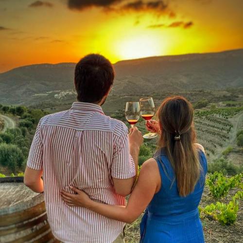Solstice 2024 in Priorat: hiking between vineyards + sunset wine tasting, 19 and 20 June