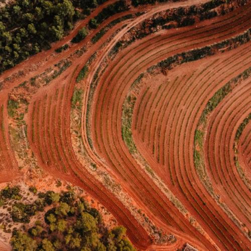 Els orígens del Celler Masroig